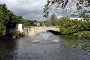 Bridge Photo