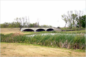 Bridge Photo